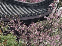 -范蠡湖公园