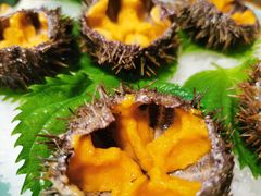 活海胆-万岛日本料理铁板烧(太古里店)