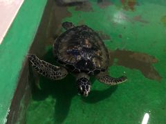 -常州海昌海洋探索馆