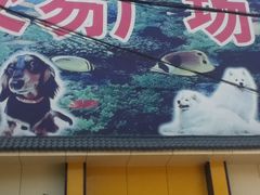 -山东柏宁水族批发广场