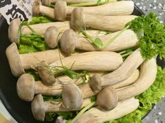 -华晟山城火锅(开发区港西东阁里店)