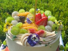 -Dark Horse·黑马蛋糕·低脂·低糖淡奶(金匙望湖大厦店)