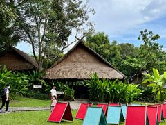 -大象粑粑造纸公园