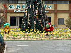 -南宫五洲植物乐园