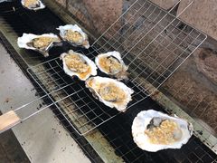 -尚庄度假村·庭台树下·户外烧烤·团建CS·轰趴营地(上庄水库店)