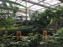 -汤山翠谷生态餐厅