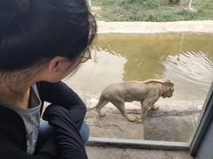 -西安秦岭野生动物园