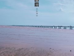 -南汇新城海滩