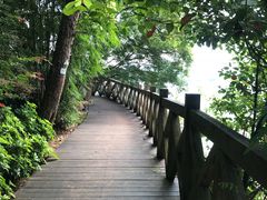 -广州市流溪河国家森林公园