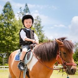 -BabyA 专业婴童摄影(古北时尚广场店)