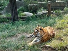 -大连森林动物园