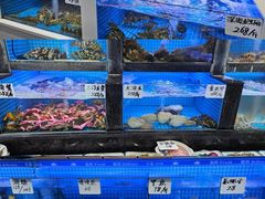 -小海丁