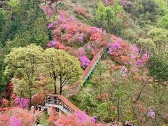 -岳西天峡风景区