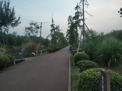 -白鹭湾湿地公园