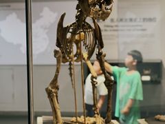 -北京周口店北京人遗址博物馆