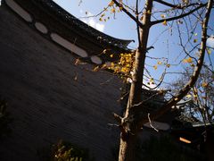-腾冲国萍农家乐