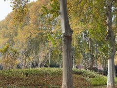 -河南省黄河迎宾馆