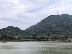 -艾米稻香小镇
