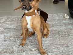 -通海俄式烧烤·俄罗斯大串(爱建店)