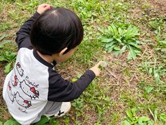 -国家植物园南园