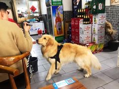 -瞻岐金锅饭店