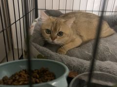 -新泰和人家(金澄天地花园店)