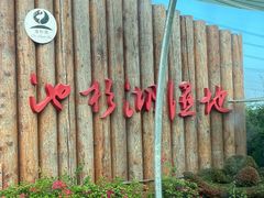 -池杉湖湿地公园
