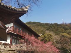 -韬光茶庵