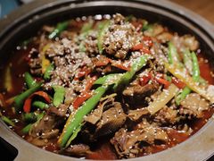 -猫头婴小酒馆FUN OWL(1912店)