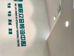 -美联众合动物医院·24h转诊中心