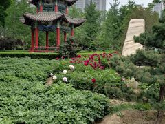 -燕郊植物园