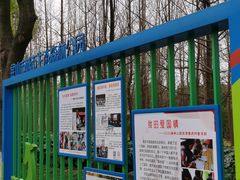 -昆山城市生态森林公园