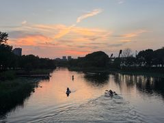 -新江湾城公园