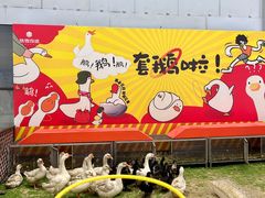 -哈尔滨热雪奇迹