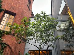 -Ocean's Table 欧舍