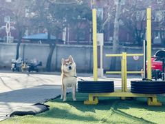 -CrossFit MET综合体能训练馆(朝阳路店)