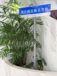 -武汉颜范薇美医疗美容门诊部