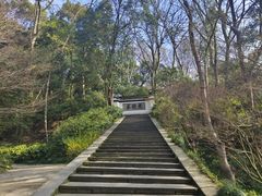 -虎跑公园