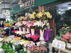 -曲阳花鸟市场(曲阳路店)
