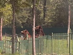 -秦皇岛野生动物园