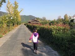 -帐篷客·溪龙茶谷度假酒店