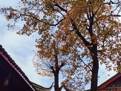 -青城山