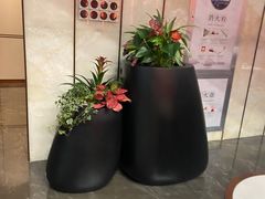 -远洲凤凰山庄臻味全日餐厅