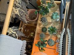 -一尺花园(首钢店)