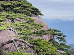 -黄山风景区