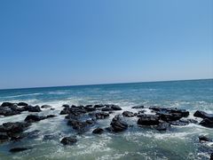 -硇洲岛旅游区