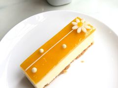 芒果芝士蛋糕-Madeleine玛德琳(永平里店)