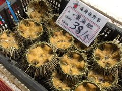 海胆-荣祥海鲜·烟台菜(胜利路二部)