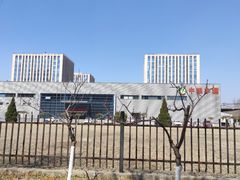 -中粮丰通（北京)食品有限公司
