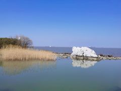-上海吴淞炮台湾国家湿地公园